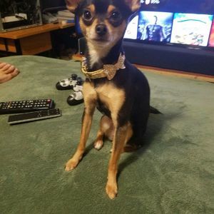 Meet your Posher, Kim